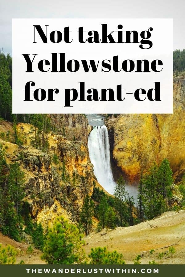 30 Best Yellowstone Quotes That Will Inspire You To Visit 2023 The