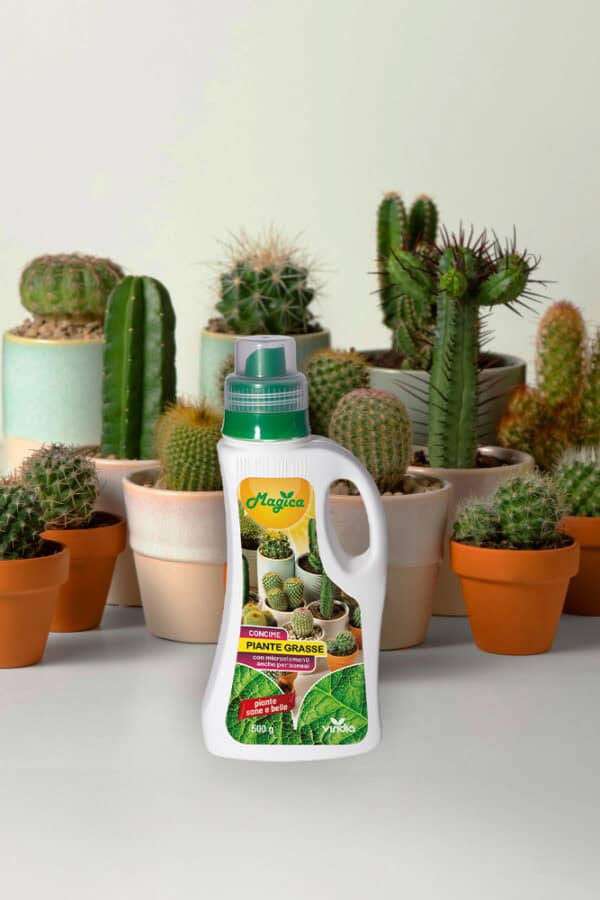 Concime Piante grasse e bonsai liquido