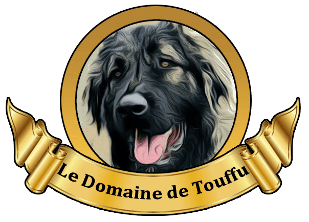 Pension canine entre Ancenis et Châteaubriant