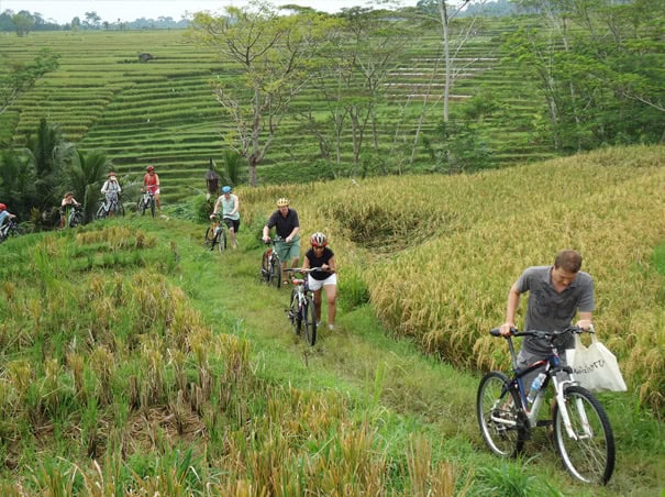 bali cycling tour