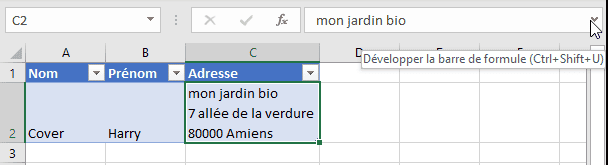 Excel - barre de formule et texte