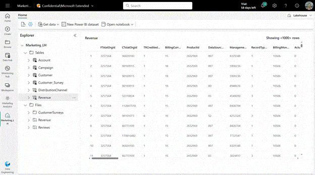 microsoft fabric