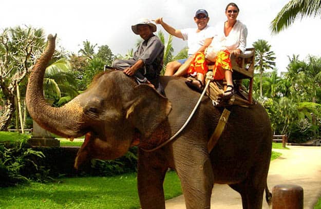 Best Elephant ride in bali