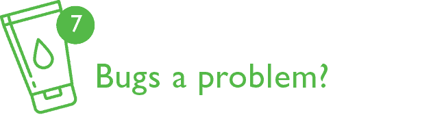 7. Bugs A Problem