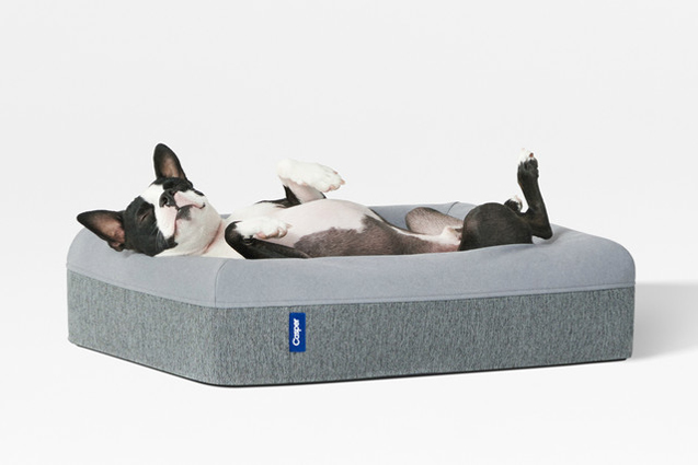 Example of dog bed by Casper