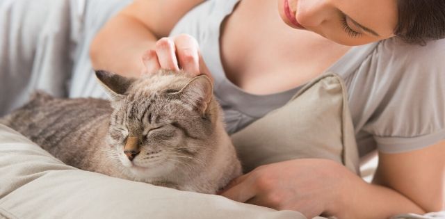 woman petting her grieving cat