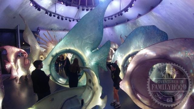Inside the Sea Glass Carousel with its light-up fish in New York City at night