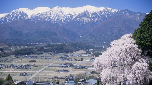 駒ケ根ソースかつ丼 地団登録