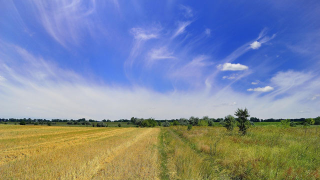 Ukraine government launched National IP Authority