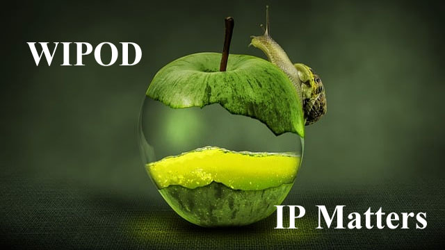 WIPOD IP Matters