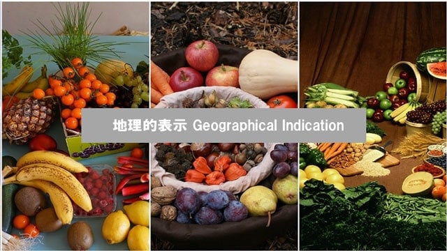 農産物・加工品4産品 GI登録