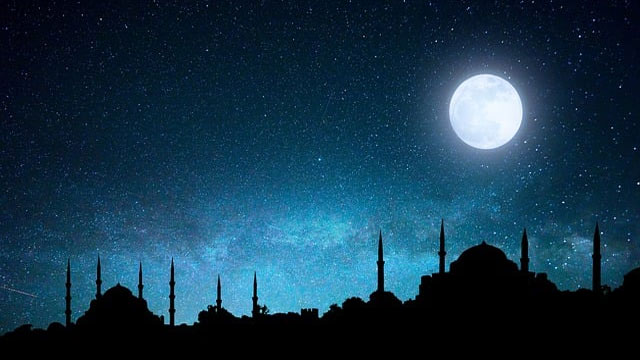 トルコ特許商標庁 動画