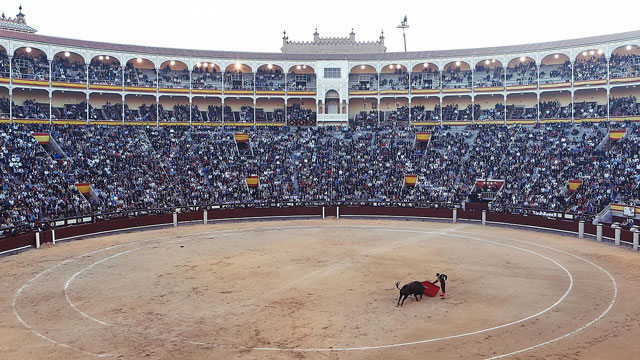 スペイン特許商標庁 動画