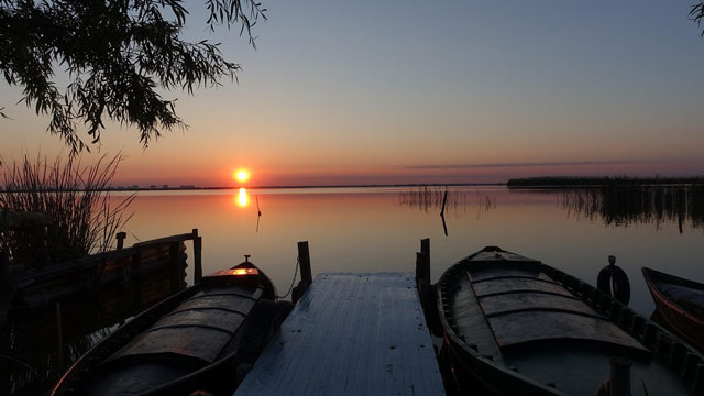 スペイン特許商標庁 動画