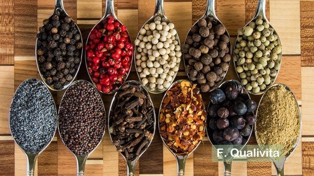 イタリア・クオリビィタ財団 動画