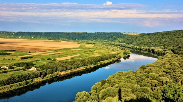 モルドバ知的財産庁 動画