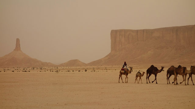 サウジアラビア知的財産総局 動画