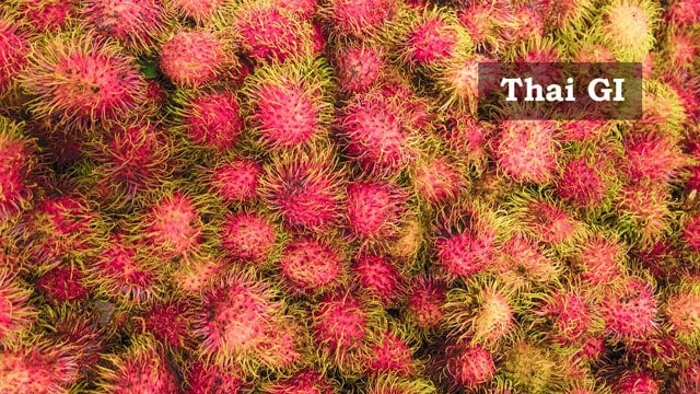 タイ知的財産局 動画