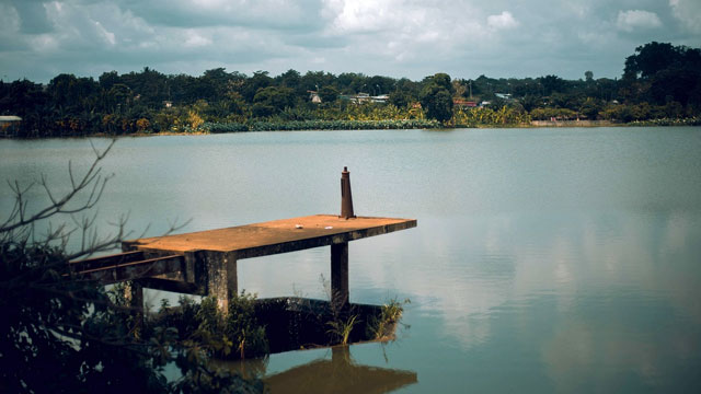 コートジボワール知的財産庁 動画