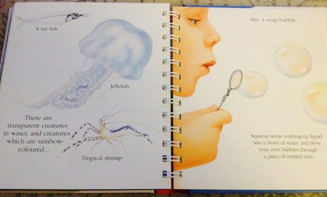 Transparent creatures that live in water