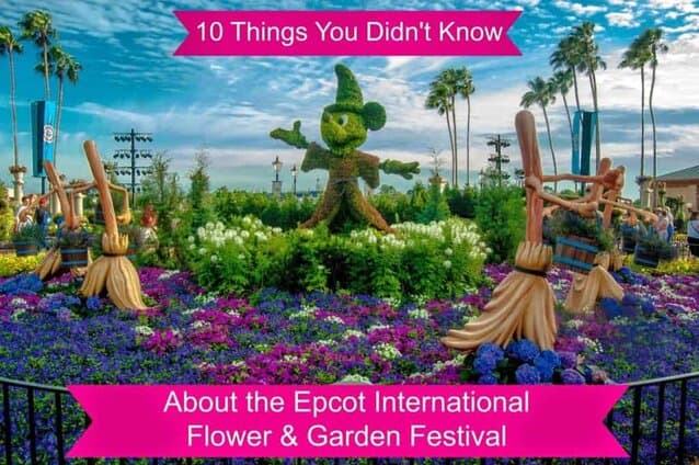 10 Things You Didn't Know - Epcot Flower & Garden Festival 10 Things You Didn't Know - Epcot Flower & Garden Festival