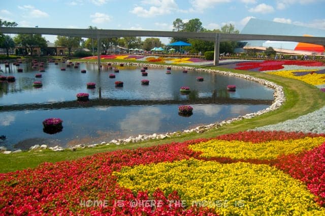 Epcot Flower and Garden Festival