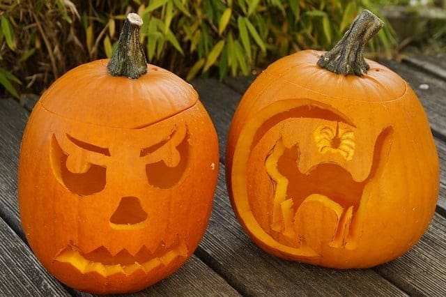  jack-o-lanterns without candles is one of our halloween safety tips for cats