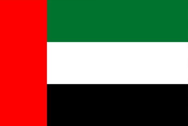 UAE Flag