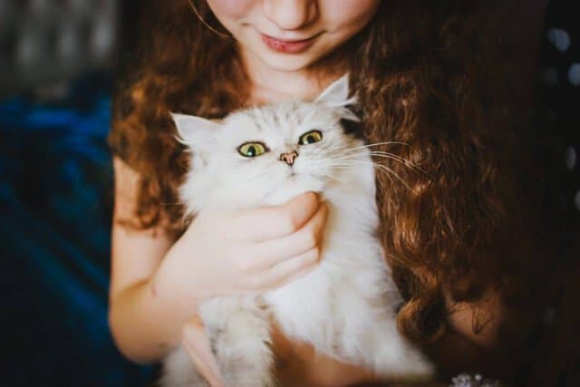 little girl with long curly hair and her white persian cat