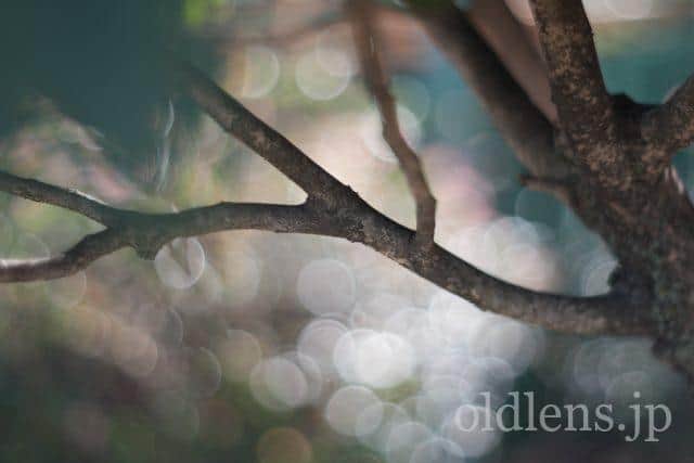 PENTACON auto 50mm F1.8 MULTICOATING 玉ボケ Pentacon auto 50mm f1.8Multi Coating 前期型M42のReview作例