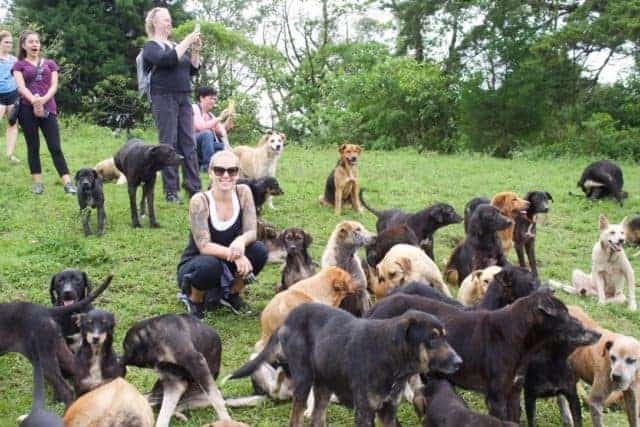 Territorio de Zaguates - Land of the strays Ecotourism