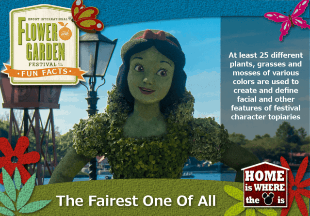 Epcot Flower & Garden Festival Fun Fact Snow White Epcot Flower & Garden Festival Fun Fact Snow White