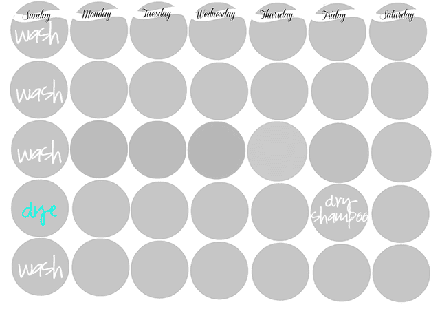 dye-schedule