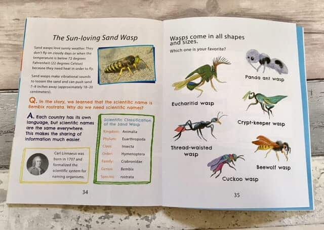 The Beedog: An Insect Discovery in Portugal