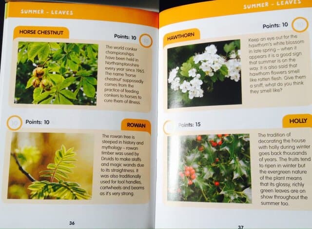 i-spy book Summer - leaves