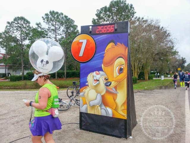 Mile Marker 7 of 2014 runDisney Walt Disney World Half Marathon