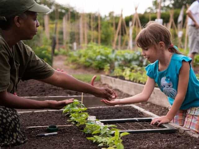 Child helping to plant seeds in the vegetable garden during Spring program at the New York Botanical Garden Edible Academy