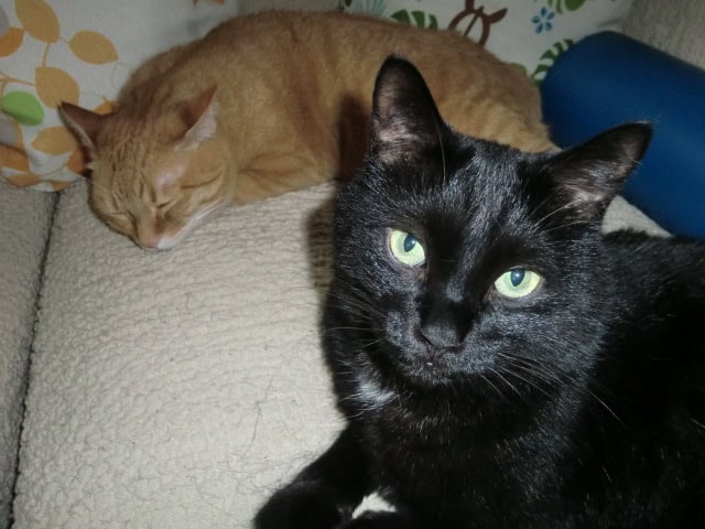 トーマとルーク