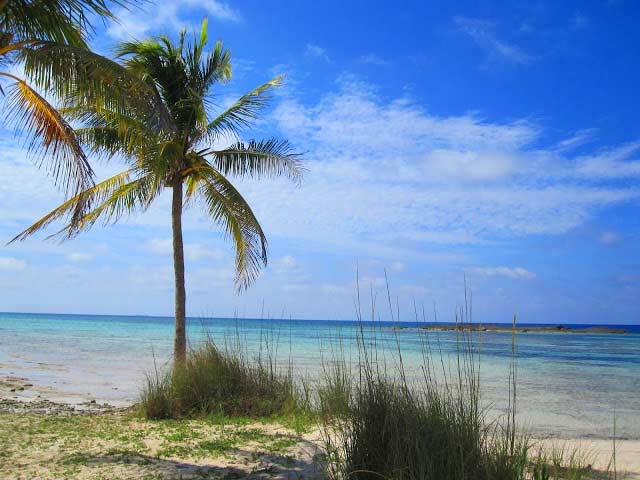 dead-mens-reef-bahamas1