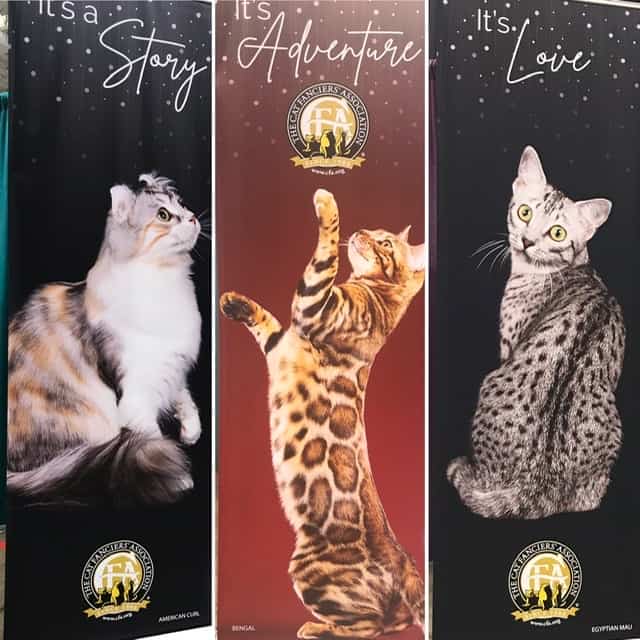 The World Comes to Cleveland