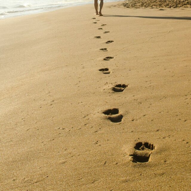 piezas del rompecabezas