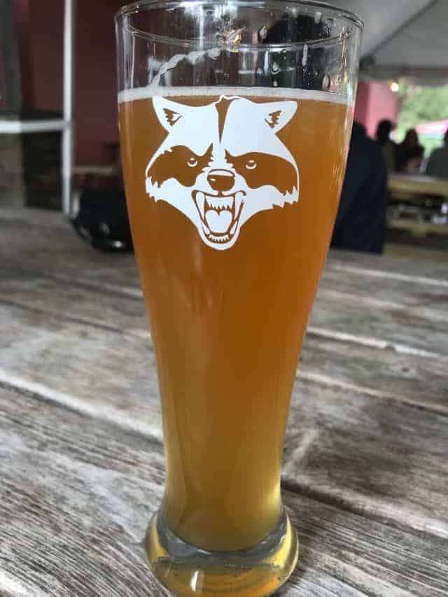Cats Take Over the Catskills 8 Beer in a Catskill Brewery Glass.