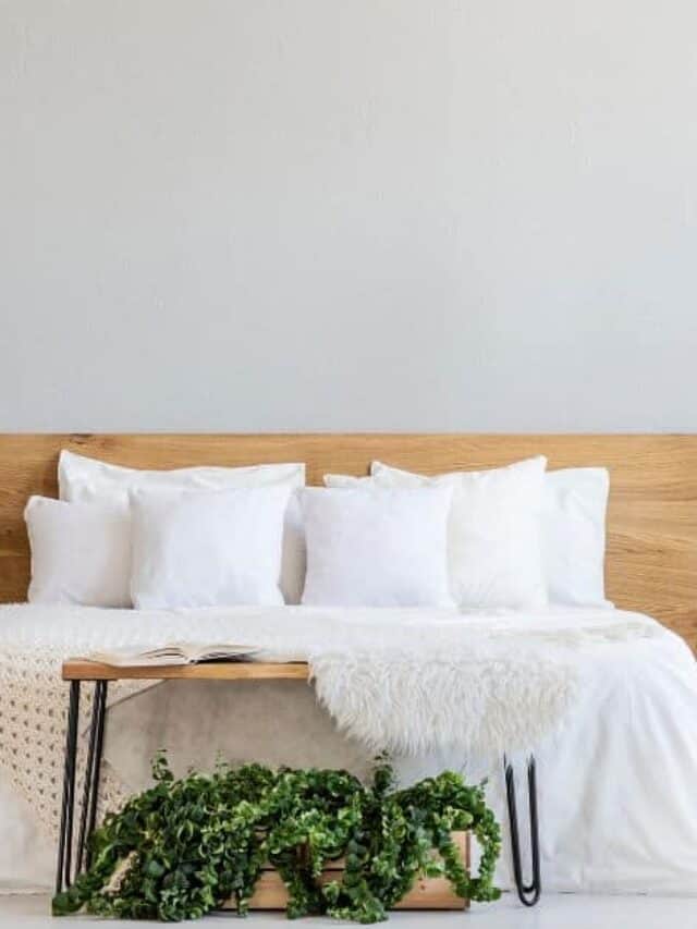 Bedroom with large bed with white bedding and tables and shelves with plants