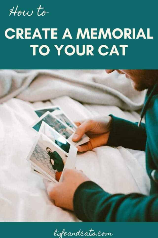 man looking at photos for a memorial to his cat