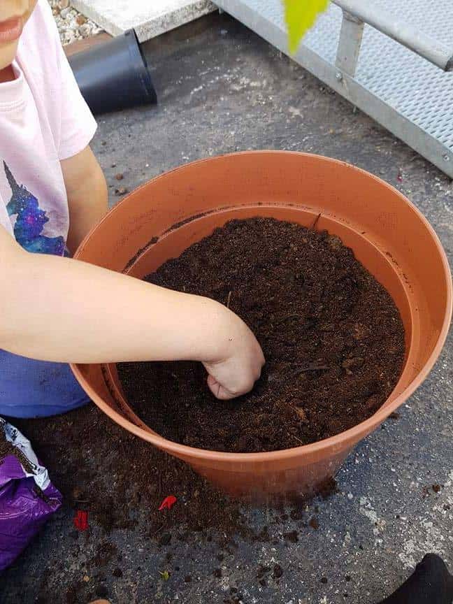 Person planting seeds in a pot with soil