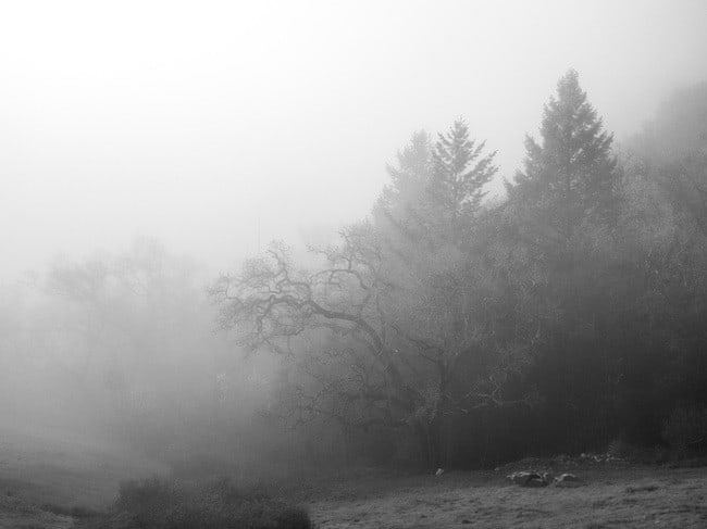 mayacamas-10.jpg