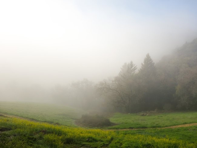 mayacamas-11.jpg