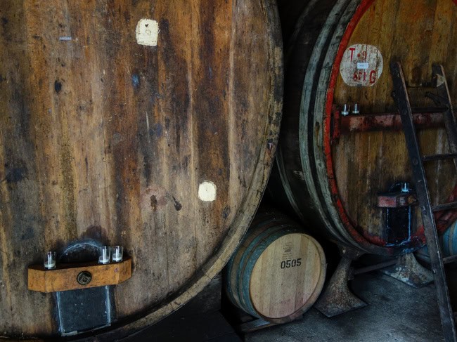 mayacamas-19.jpg
