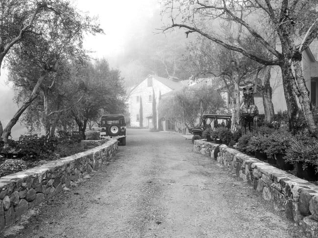 mayacamas-2.jpg