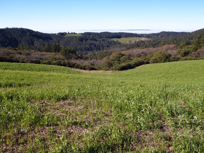 mayacamas-23.jpg